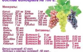 Сорта винограда для производства вин: описание сорта с фото, отзывы, посадка и уход