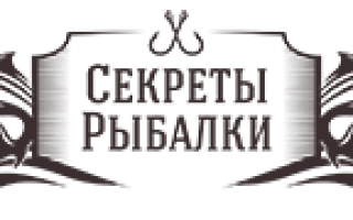 Виноград Арго: что нужно знать о нем, описание сорта, отзывы